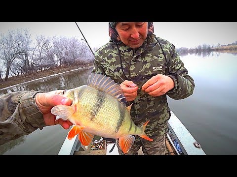 Видео: НА РЫБАЛКУ С ДРУГОМ. ЗИМНЯЯ РЫБАЛКА 2020. ОПЯТЬ ЖДЁМ ЛЁД