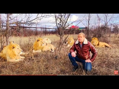 Видео: Олег Зубков: "Почему мои сыновья НЕ ЖИВУТ и НЕ УЧАТСЯ за границей?"