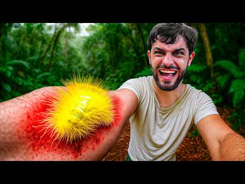 Видео: ГУСЕНИЦА-ЛЕВ!! Худшие укусы #12