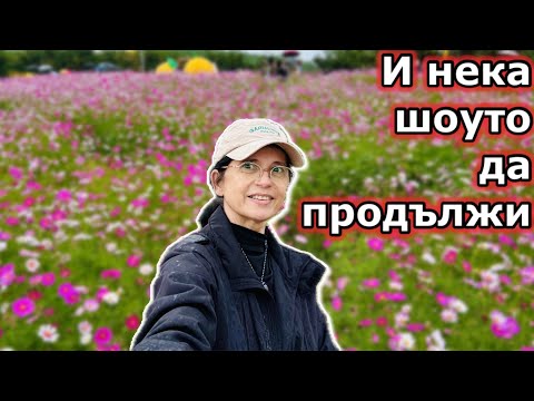 Видео: Нов ден Нов късмет 🍊☘️The show must go on 🎵🎶