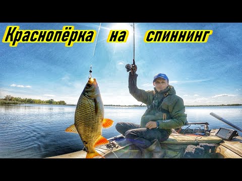 Видео: КРАСНОПЁРКА НА СПИННИНГ/ЛОВЛЯ НА МИКРОДЖИГ/ЛОВЛЯ КРАСНОПЁРКИ НА ВОЛГЕ/ОСЕННЯЯ РЫБАЛКА/САМАРСКАЯ ОБЛ.