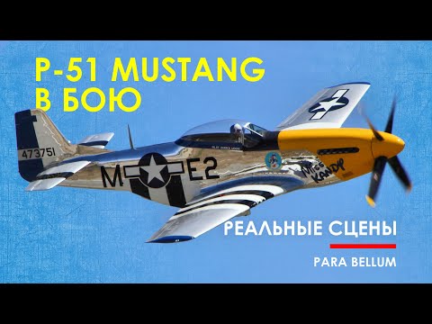 Видео: 🟩 Истребители П-51 Мустанг в бою - шикарная кинохроника.