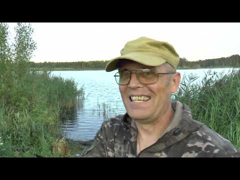 Видео: РЫБАЛКА  НА ПОПЛАВОК. Шикарные МЕСТА ДЛЯ ТИХОЙ ОХОТЫ