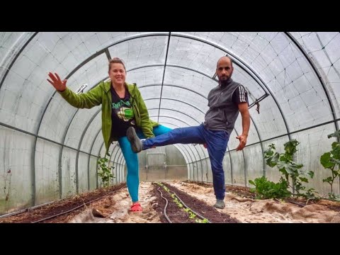 Видео: Нашето есенно ежедневие 🍂 Буркани, упражнения, покривни култури и време само за нас