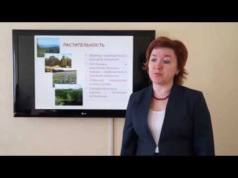 Видео: Кураченко Н.Л. Почвы - таежно лесной зоны