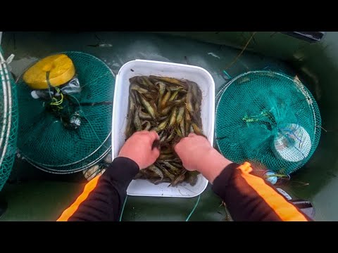 Видео: БУДНИ САХАЛИНСКОГО РЫБАКА / ловля креветки