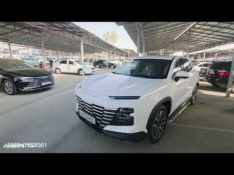 Видео: 3 ноября 2025 г.