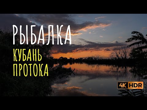 Видео: РЫБАЛКА НА РЕКАХ КУБАНЬ И ПРОТОКА. РЫБАЛКА НА КУБАНИ