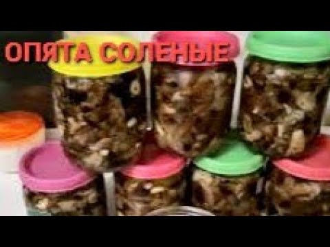 Видео: ОПЯТА СОЛЕНЫЕ.КАК ВКУСНО ЗАСОЛИТЬ ОПЯТА на зиму БЕЗ УКСУСА,ХОЛОДНЫЙ ПОСОЛ.