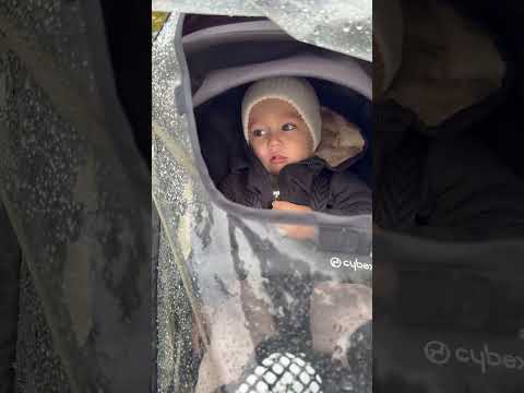 Видео: Ку ку 😅🤩