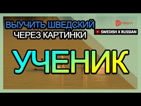 Видео: Выучить шведский через картинки |шведский словарь ученик | Golearn