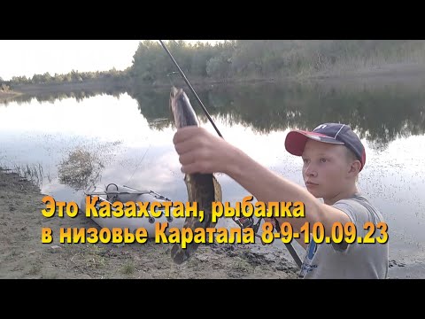 Видео: Казахстан. Рыбалка на реке Каратал ! 8-9-10.09.23