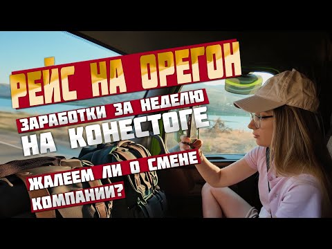 Видео: НАШИ ЗАРАБОТКИ ЗА НЕДЕЛЮ НА КОНЕСТОГЕ. ЖАЛЕЕМ ЛИ МЫ О СМЕНЕ КОМПАНИИ?