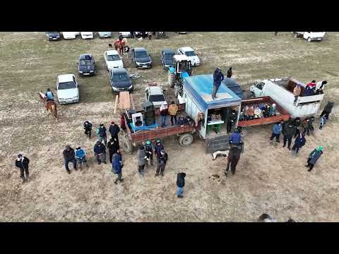 Видео: Боралдай жигиттеринин кокпары