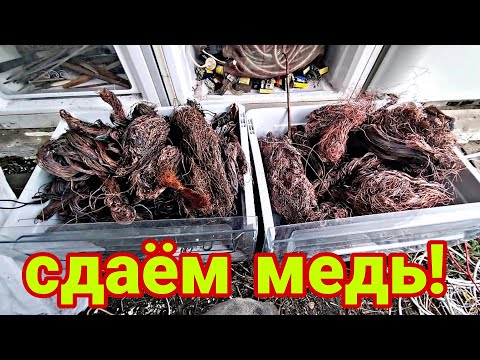 Видео: сдаем медь, латунь, алюминий и железо, цены на металлолом в Казахстане этой осенью!