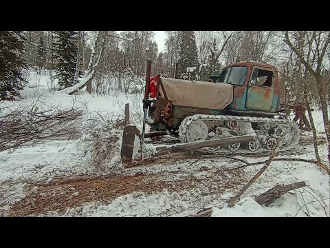 Видео: Пробиваем дорогу в лес