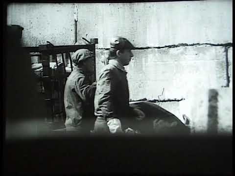 Видео: Киножурнал Советская Карелия 1990 Июль