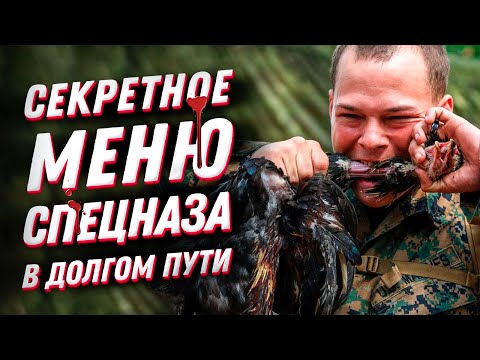 Видео: Зачем спецназ ест много сладостей🍩?! Еда в походе для энергии и выживания