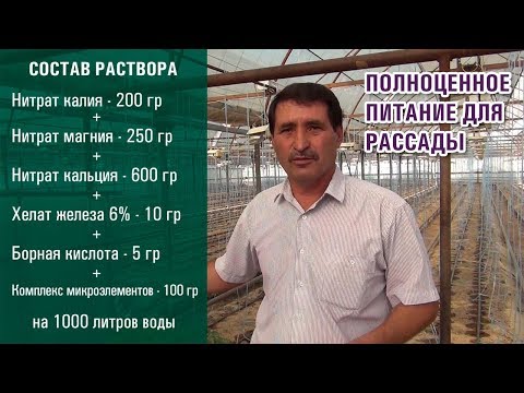 Видео: ПОЛНОЦЕННОЕ ПИТАНИЕ ДЛЯ РАССАДЫ. СОСТАВ РАСТВОРА (13-07-2019)