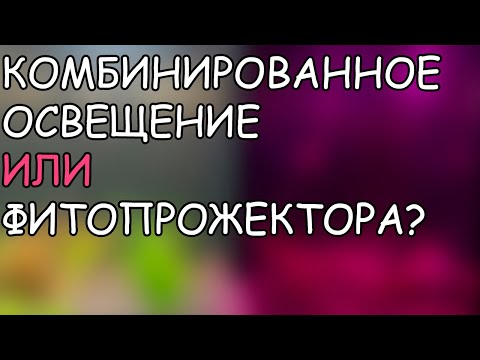 Видео: ФИТО ПРОЖЕКТОРА ИЛИ КОМБИНИРОВАННОЕ ОСВЕЩЕНИЕ??? ЧТО ЛУЧШЕ ДЛЯ РАСТЕНИЙ? ЭКСПЕРИМЕНТ.
