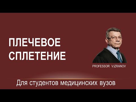 Видео: Плечевое сплетение. Лекция для студентов медицинского института