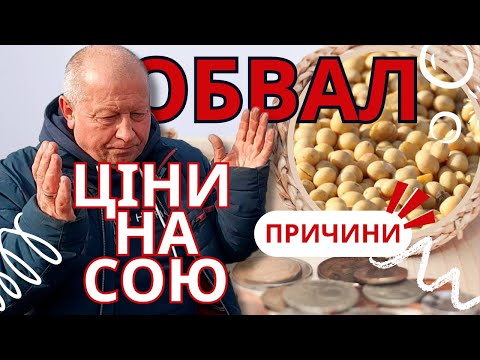 Видео: ОБВАЛ ЦІНИ ⬇️ НА СОЮ🌱  Експертна думка🤓