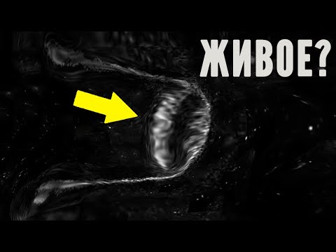 Видео: Мы Нашли! Реальные Данные Сингулярности Пространства и Времени?