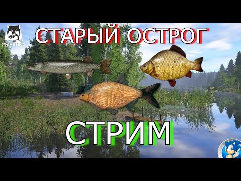 Видео: Ловим лещей    Карасей   леней  и  плотву   на  ст  Остроге:  Русская   Рыбалка 4!!!(Часть # 2)