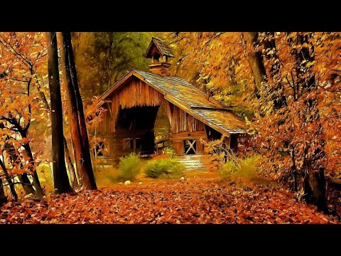 Видео: Удивительный лес! И радует и печалит!