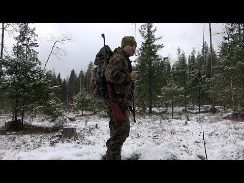 Видео: Охота в тайге Коми. Развожу костер в сыром лесу. CZ 455 FOREST EDITION  22lr.