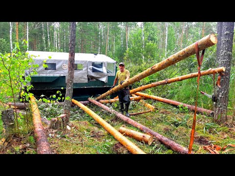 Видео: Часть 4. Дорога домой по Большому Васюганскому болоту. Просека мечты