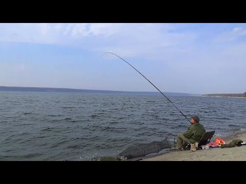 Видео: Ловля на поплавок плотвы и густеры на водохранилище Как всегда успешно ловить на Артемовской дамбе