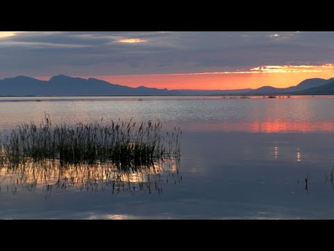 Видео: Рыбалка  на Красноярском водохранилище. Усть Абакан лето 2025 года часть -11