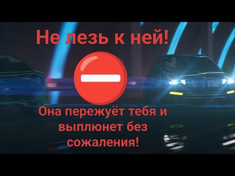 Видео: РСП как Альфа Хищник.