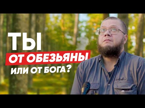 Видео: Откуда появился человек на земле? Социальный опрос