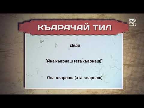 Видео: Разговорник (карачаевский язык) (20.08.2021)