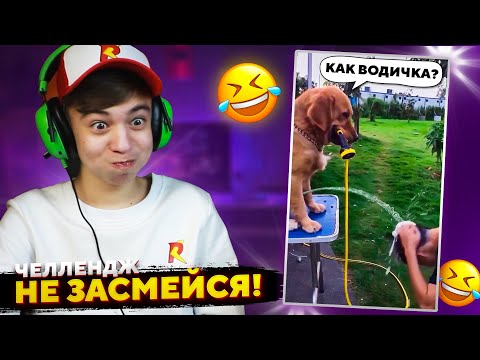 Видео: 😂 Собака ЗА ЧТО??? ➢ НЕ ЗАСМЕЙСЯ ЧЕЛЛЕНДЖ или МАМИНА ПОДБОРКА #46