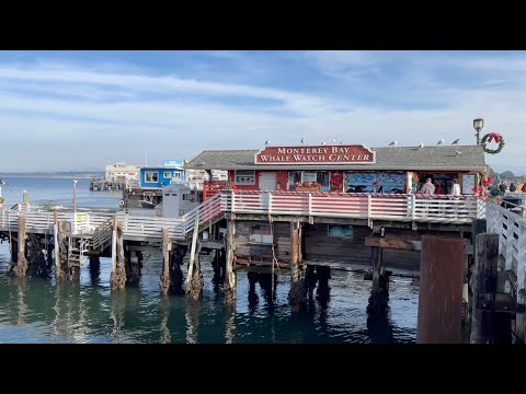 Видео: Монтерей, Калифорния США