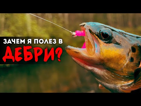 Видео: ПОБЕГ ИЗ ЛЕСА: Рыбалка, которую я не забуду! Форель и хариус в глухих завалах #мормышинг