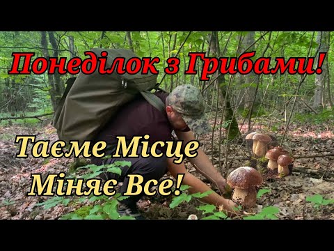 Видео: Понеділок Повний КОШИК Білих Грибів! Одне місце Міняє Все!! Годину в Лісі з гарним результатом!!!