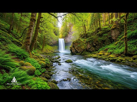 Видео: Лучшие дни впереди 🌿 Слушая эту музыку, вы почувствуете себя расслабленным | Piano da Cura Natural