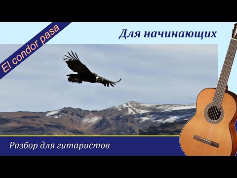 Видео: El condor pasa - "Полёт кондора" - Разбор на гитаре