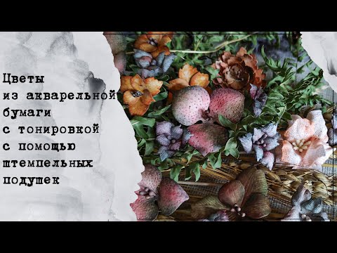 Видео: Цветы для скрапбукинга из акварельной бумаги