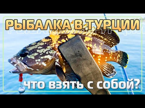 Видео: Рыбалка в Турции. Что взять с собой?   #OnlySpin