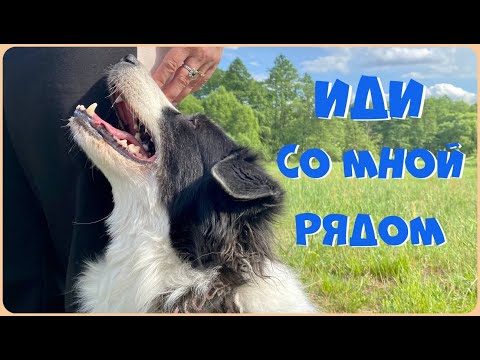 Видео: Команда Рядом. Критерии выполнения