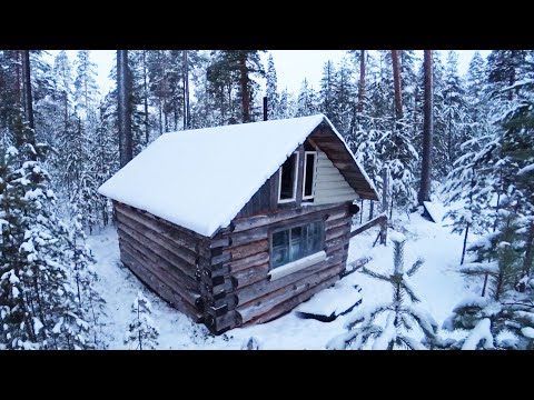 Видео: ЖИВУ ОДИН В ЛЕСУ, ИЗБА ДАЛЕКО НА СЕВЕРЕ