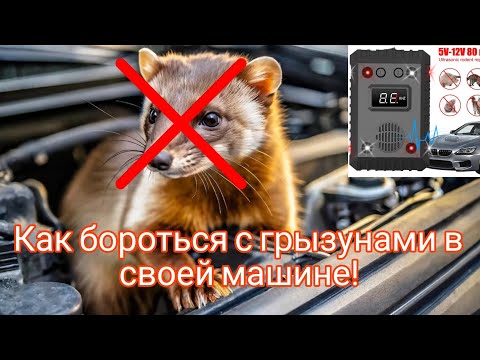 Видео: Спас машину от грызунов! Установка отпугивателя в машине!