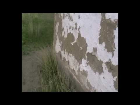 Видео: Петропавловка.Школа.