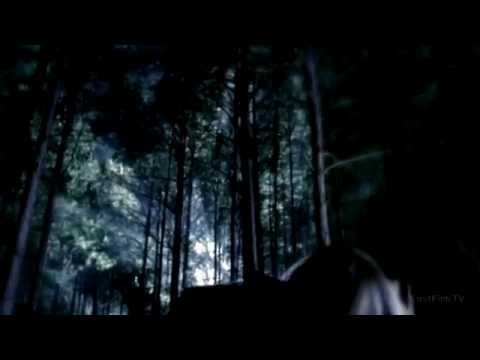 Видео: Дневники вампира. Весь 5 сезон в одном видео