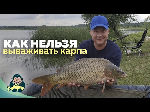 Видео: Ловля карпа на деревенском пруду. Как нельзя вываживать карпа.